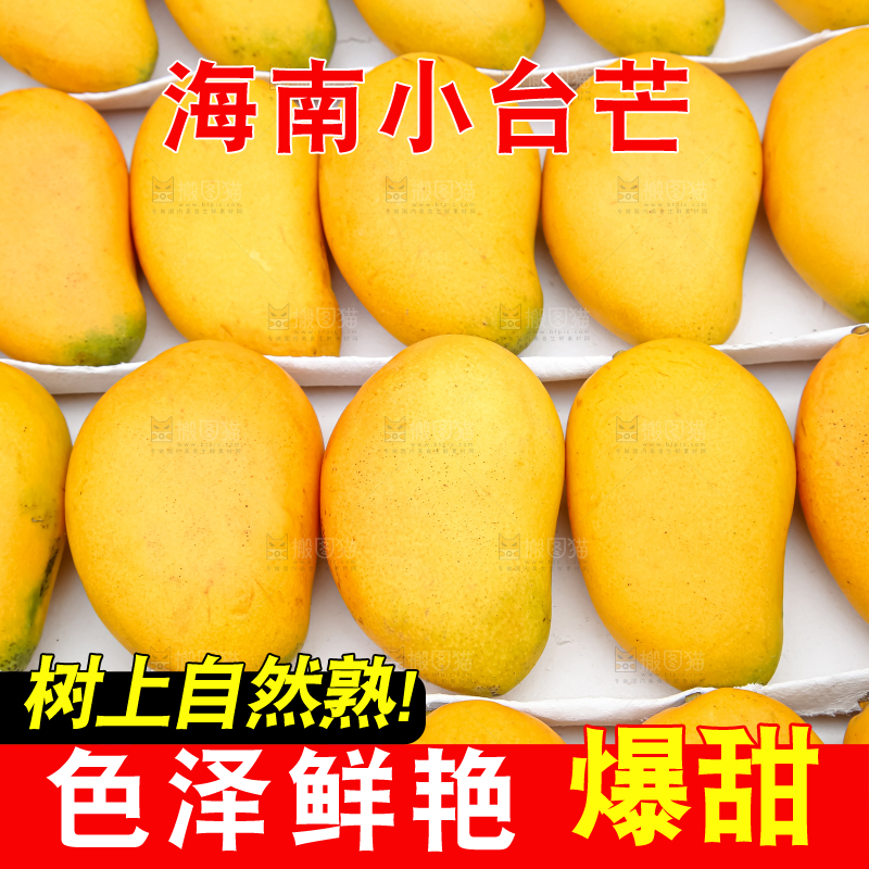 小台芒