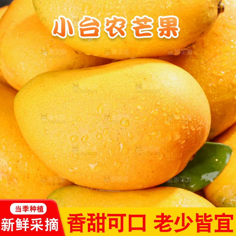 小台芒
