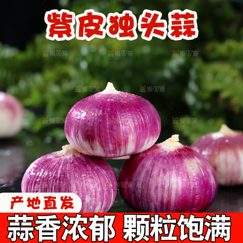 独头蒜