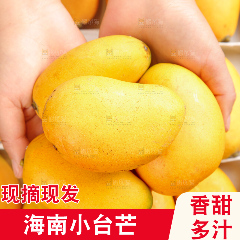 小台芒