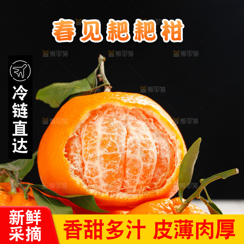 春见耙耙柑