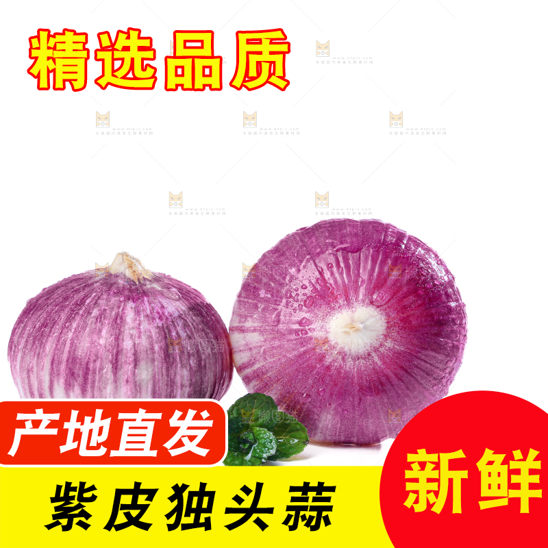 独头蒜