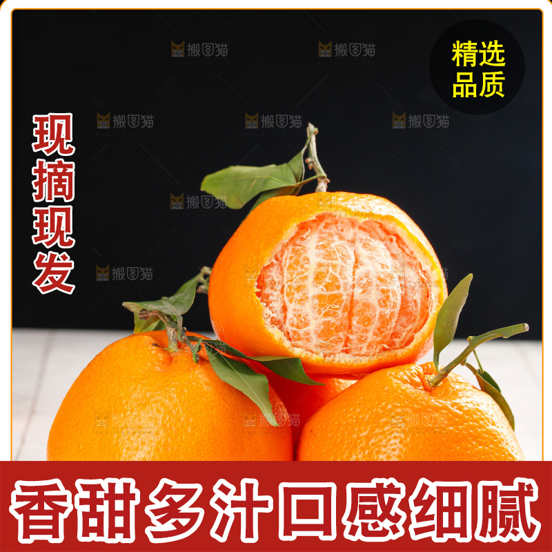 春见耙耙柑
