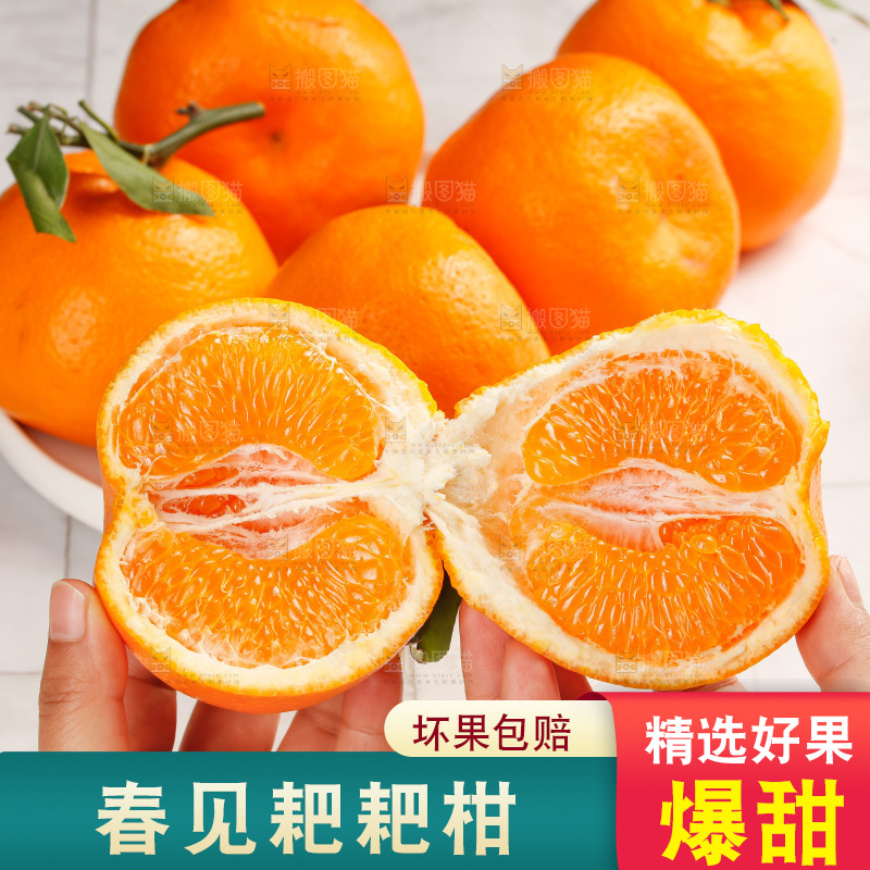 春见耙耙柑