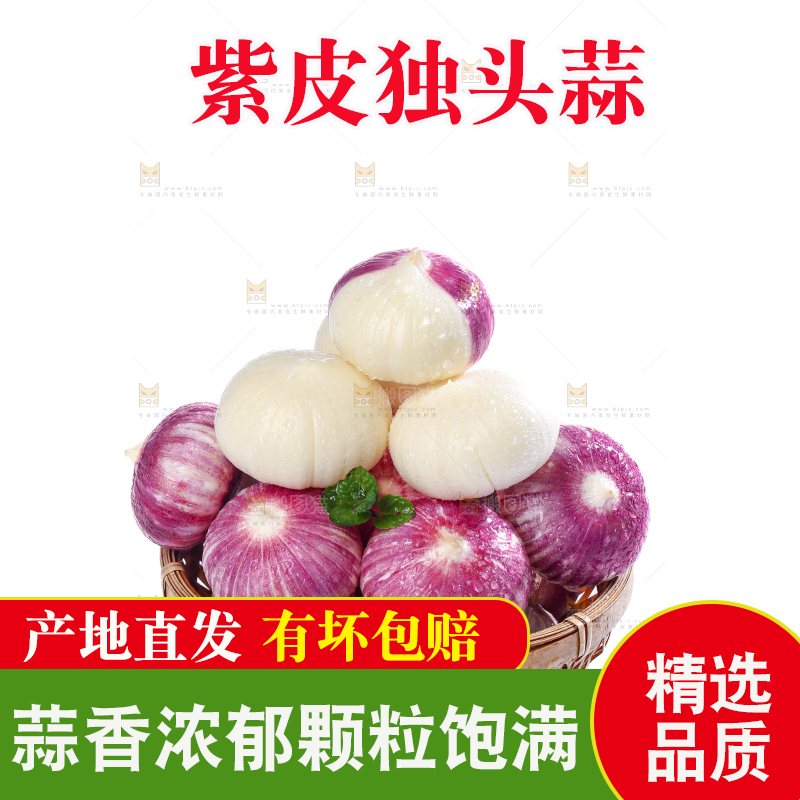 独头蒜