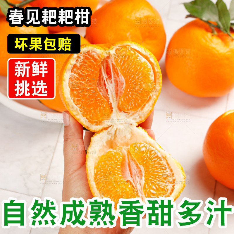 春见耙耙柑