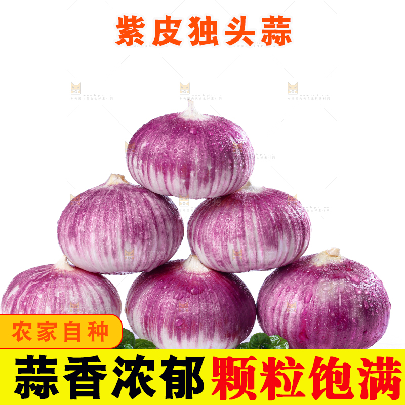 独头蒜