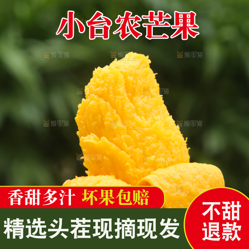 小台芒