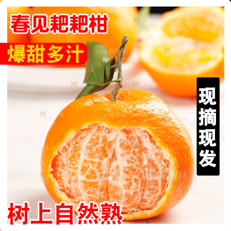 春见耙耙柑