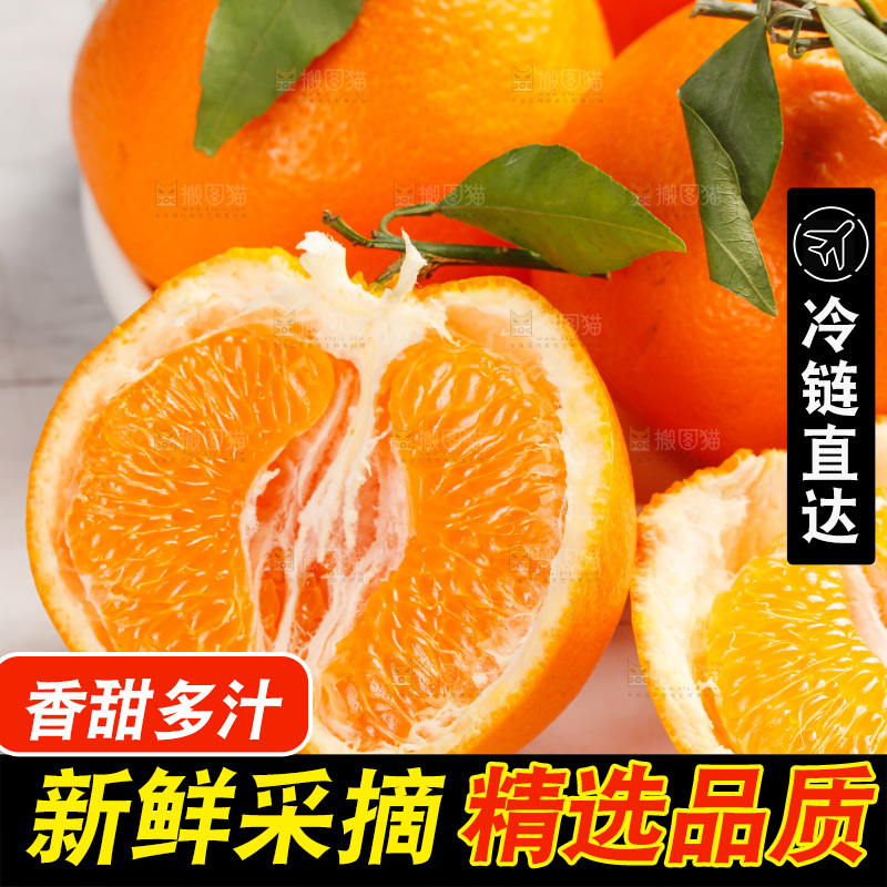 春见耙耙柑
