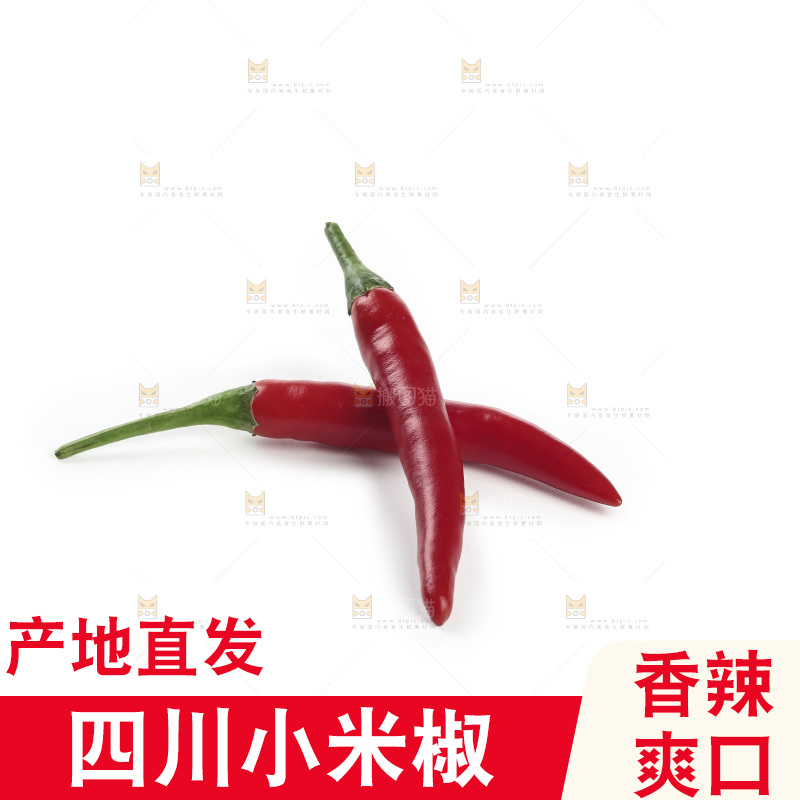 小米辣