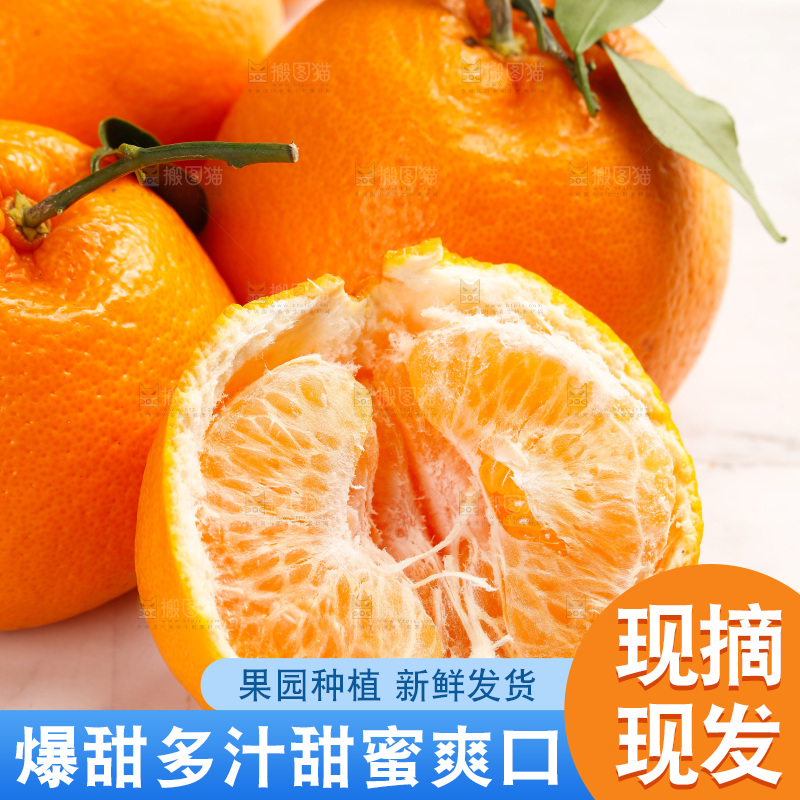 春见耙耙柑