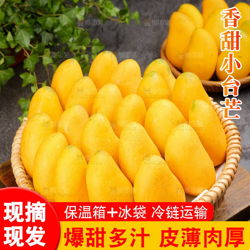 小台芒