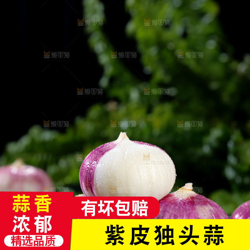 独头蒜