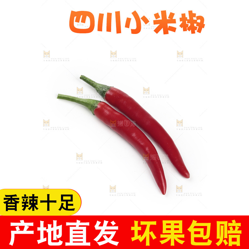 小米辣