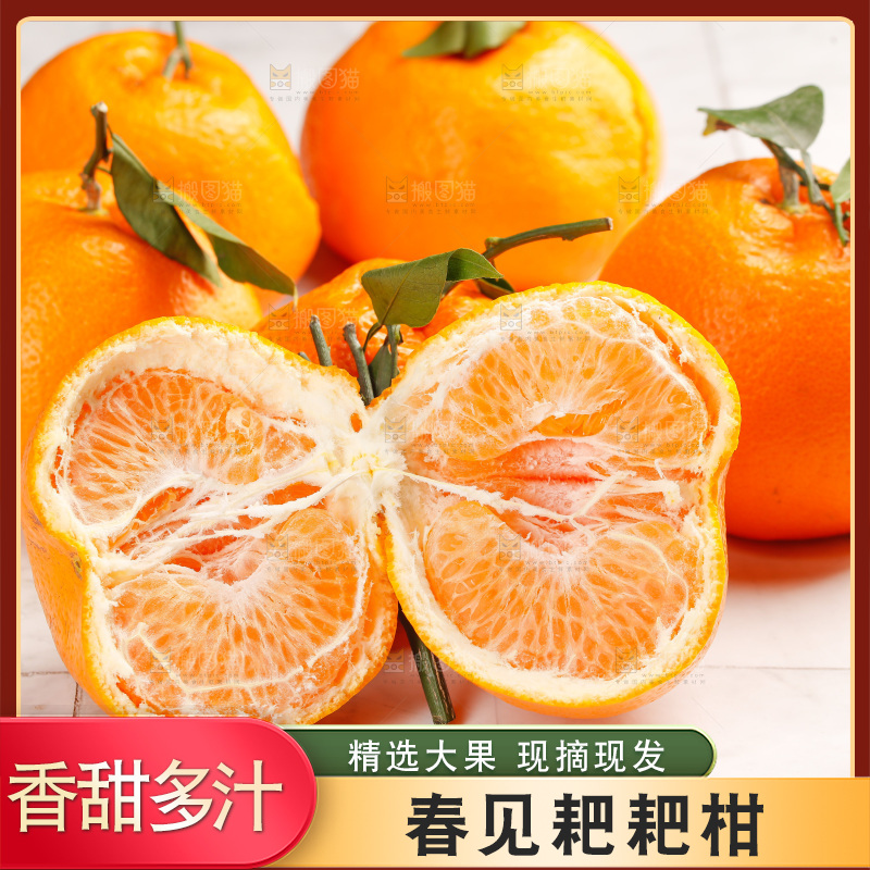 春见耙耙柑