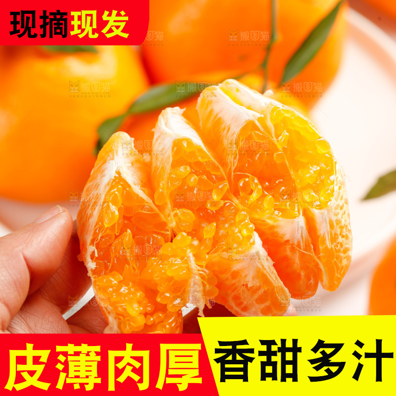 春见耙耙柑