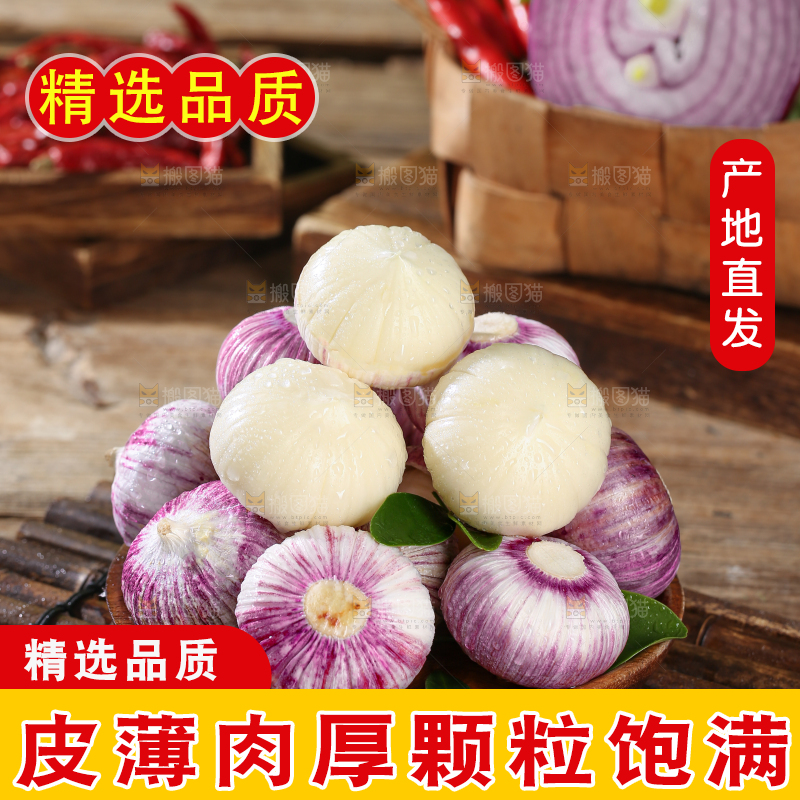 独头蒜