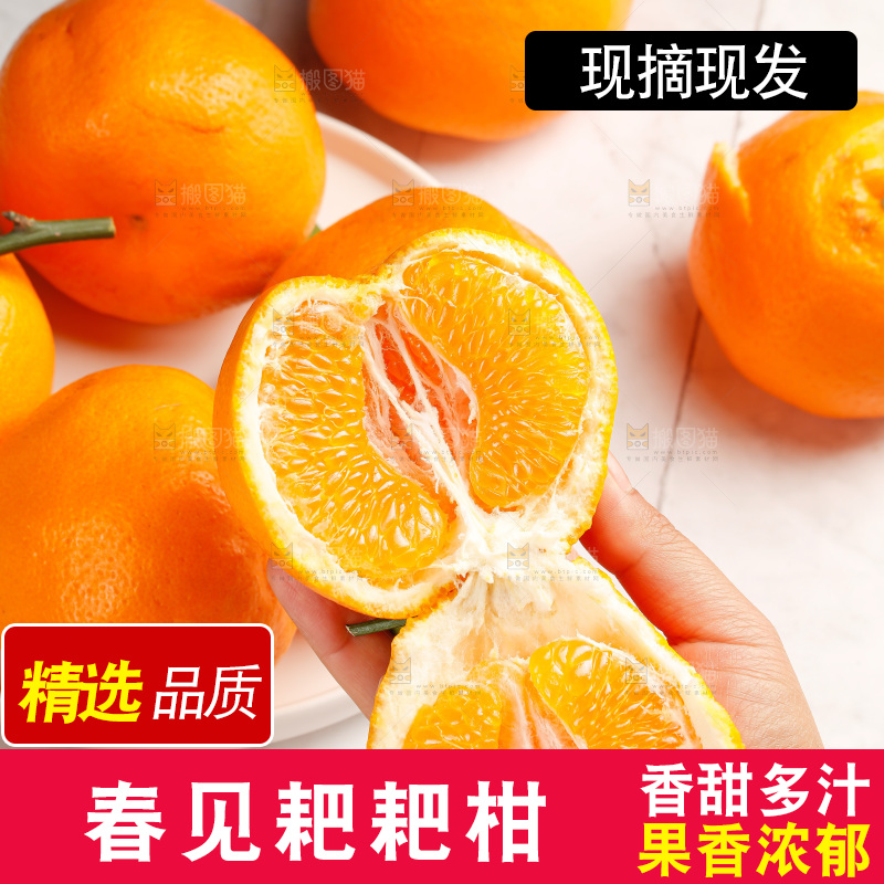 春见耙耙柑