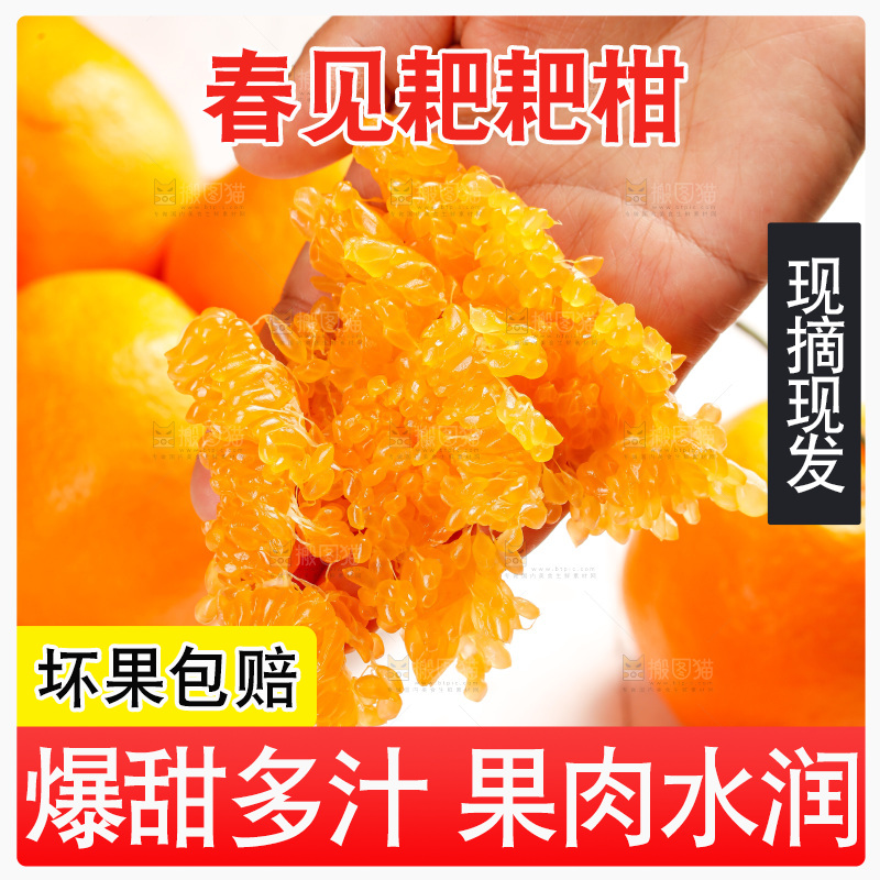 春见耙耙柑