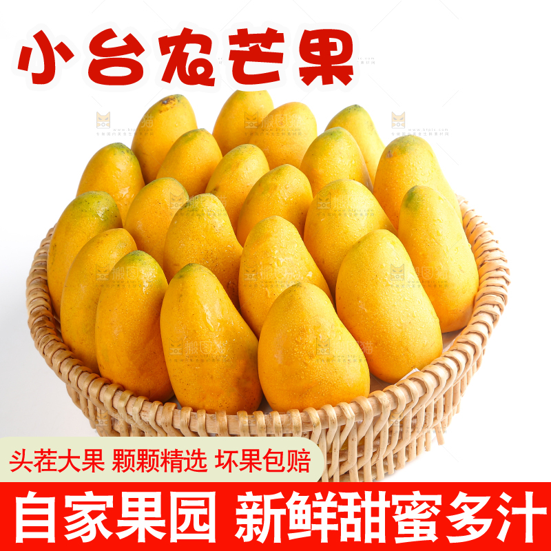 小台芒