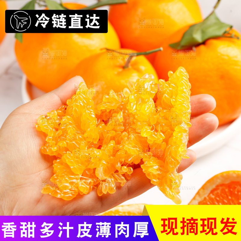 春见耙耙柑