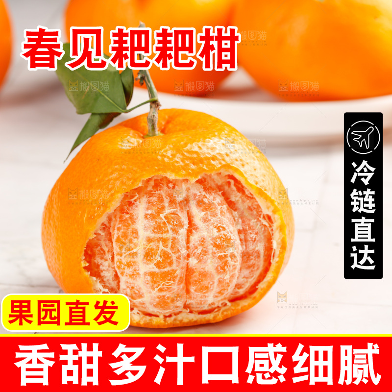 春见耙耙柑