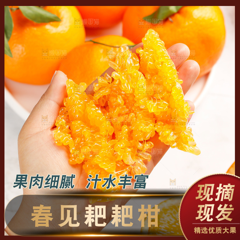 春见耙耙柑