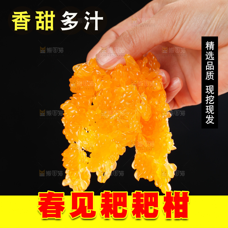 春见耙耙柑