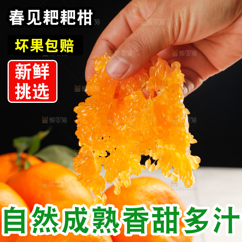 春见耙耙柑