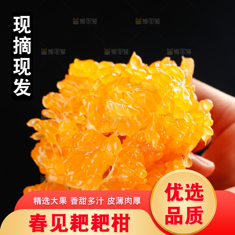 春见耙耙柑