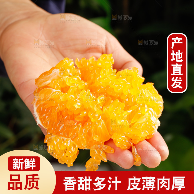 春见耙耙柑
