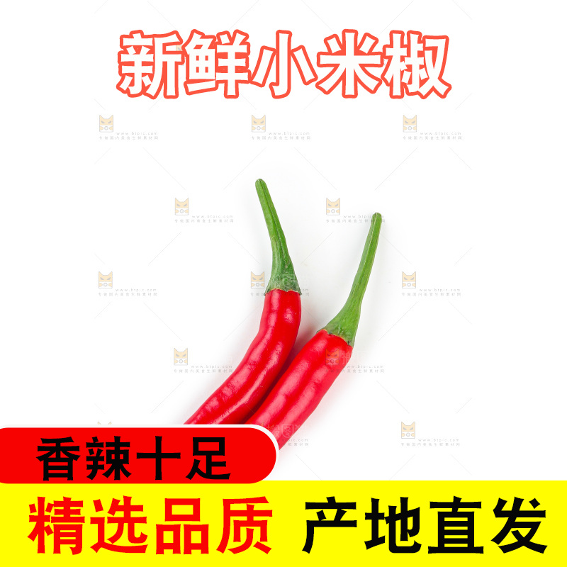 小米辣