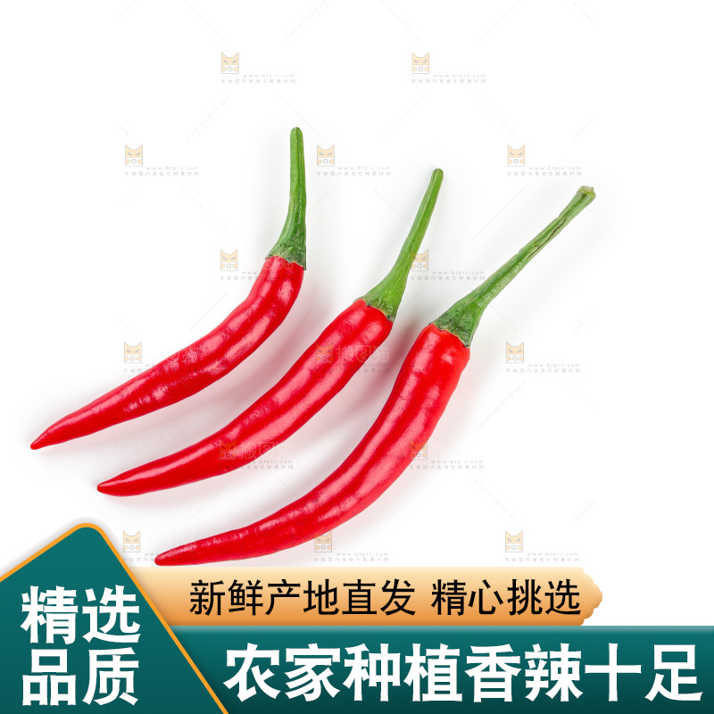 小米辣