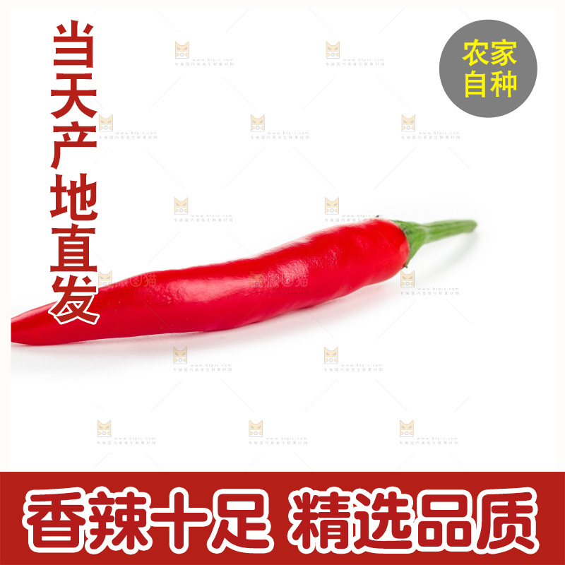 小米辣