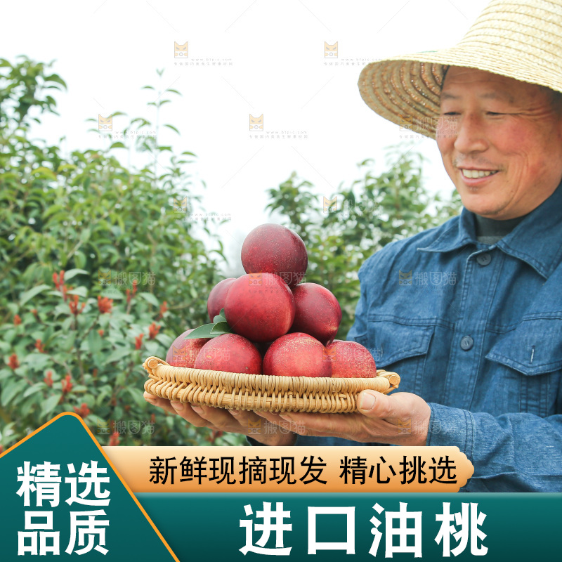 澳洲油桃