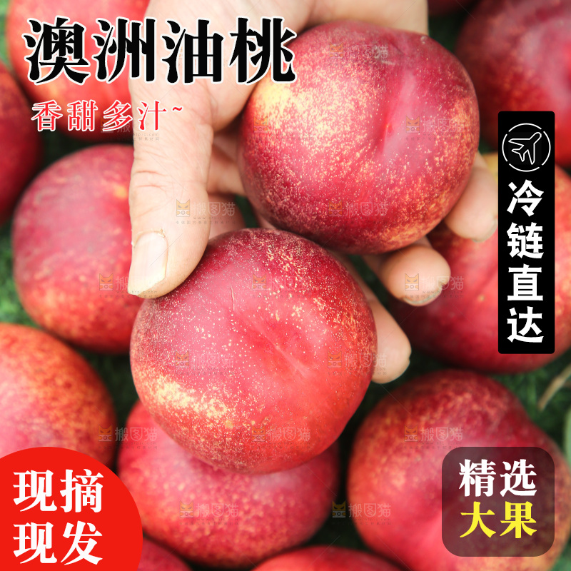 澳洲油桃