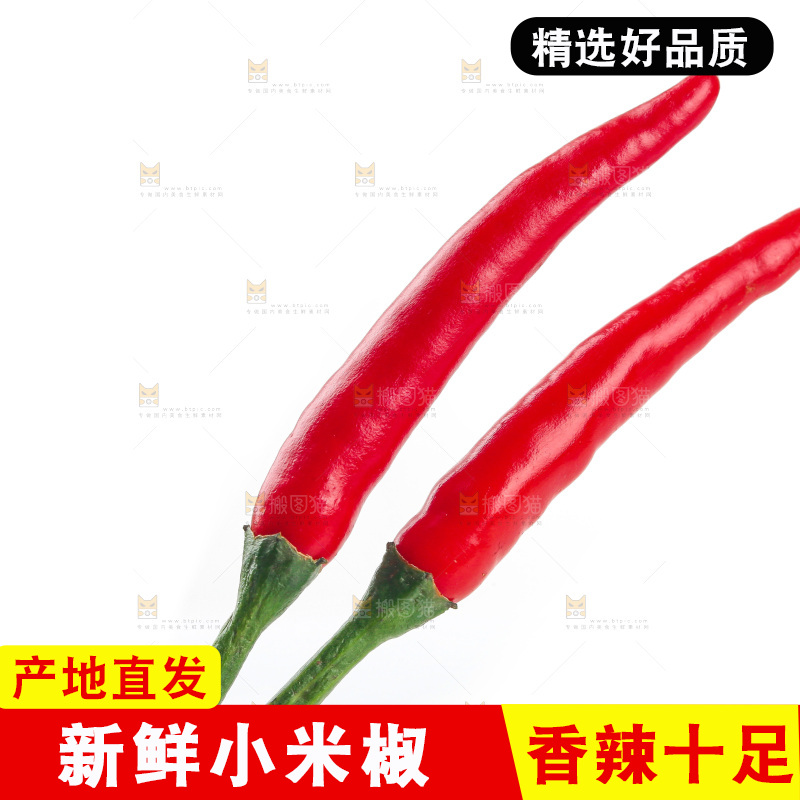 小米辣