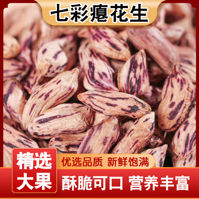 七彩瘪花生