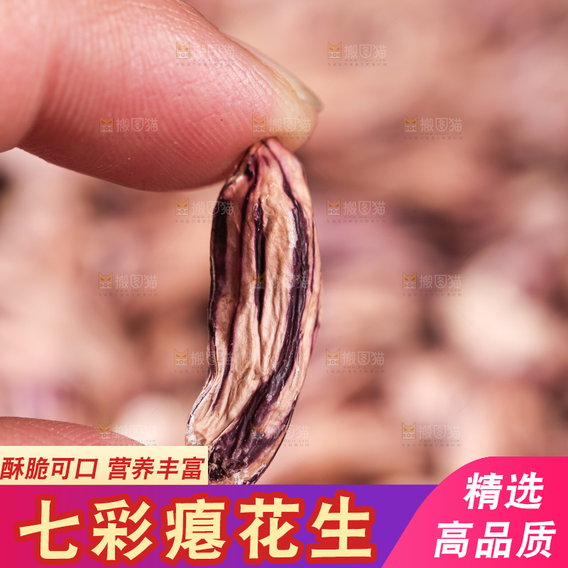 七彩瘪花生