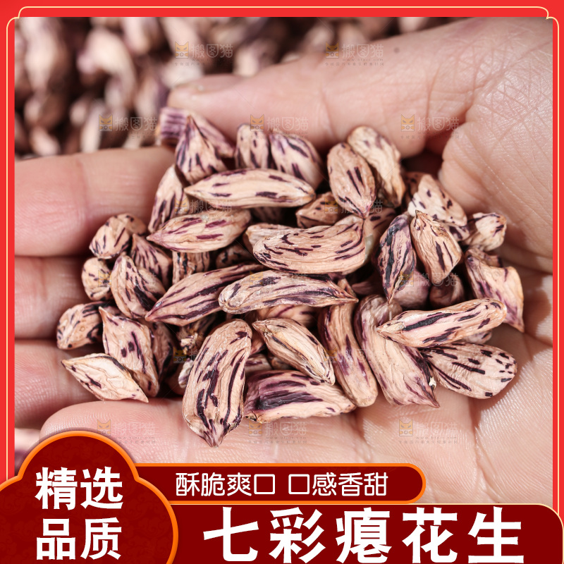 七彩瘪花生