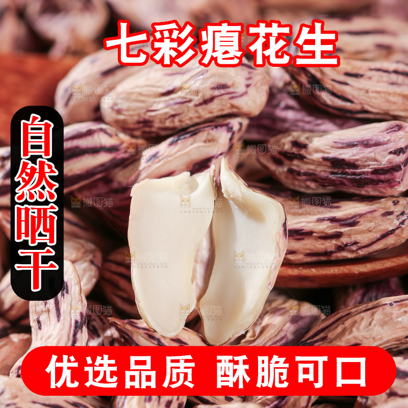 七彩瘪花生