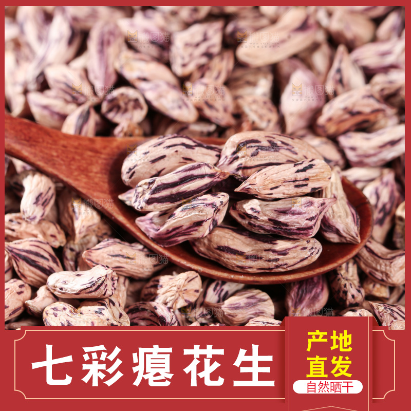 七彩瘪花生