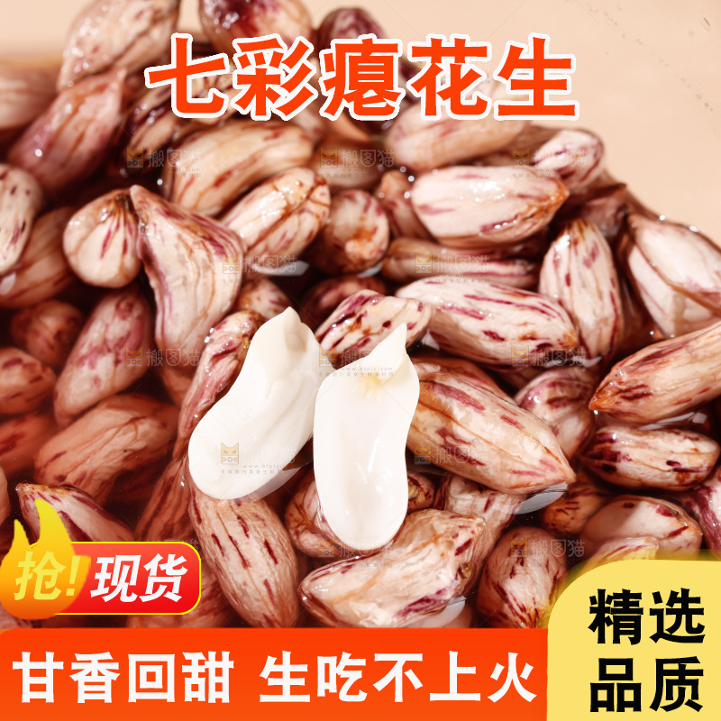 七彩瘪花生