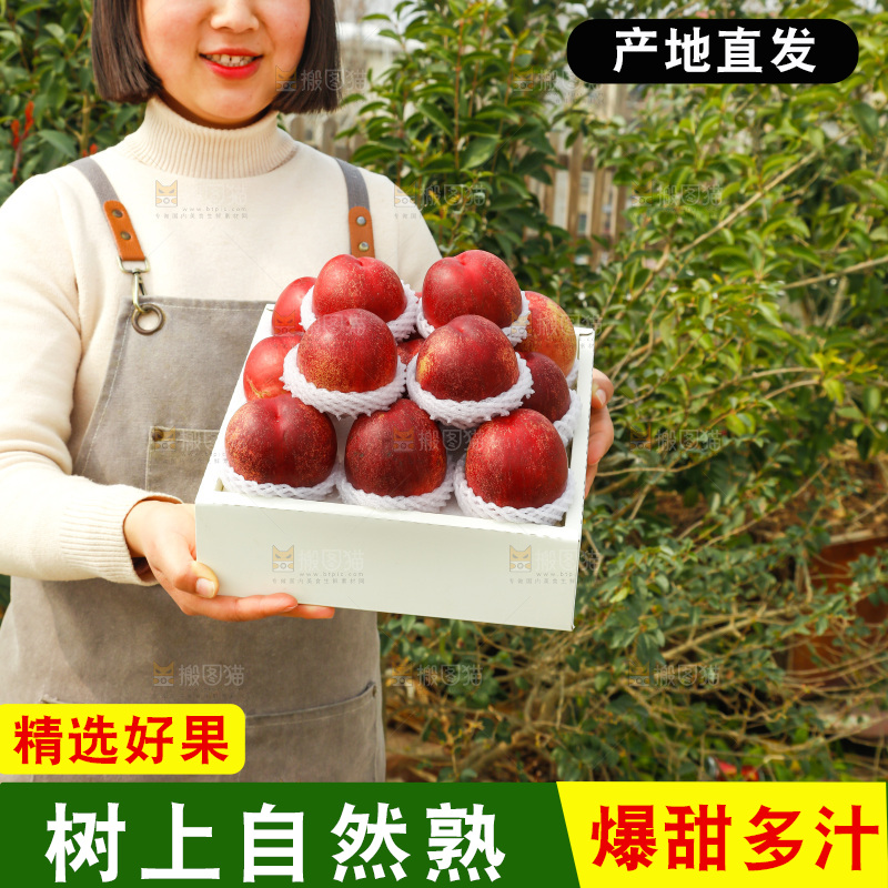 澳洲油桃