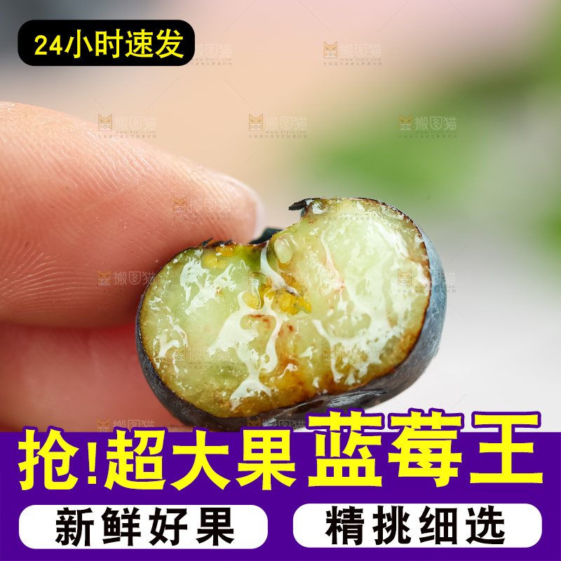 蓝莓