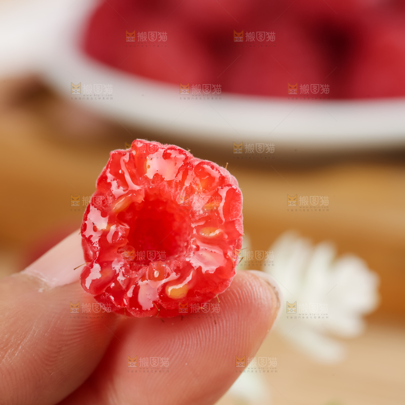 红树莓