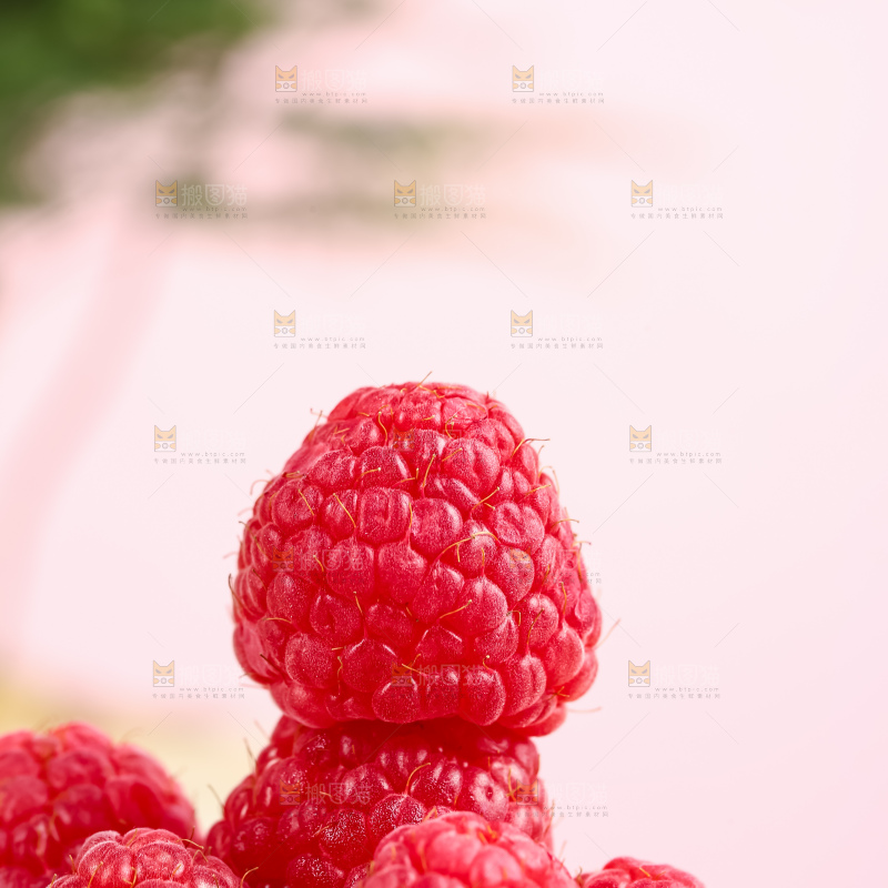 红树莓