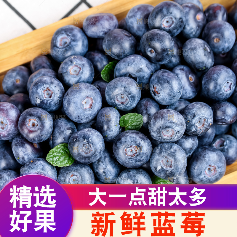 蓝莓