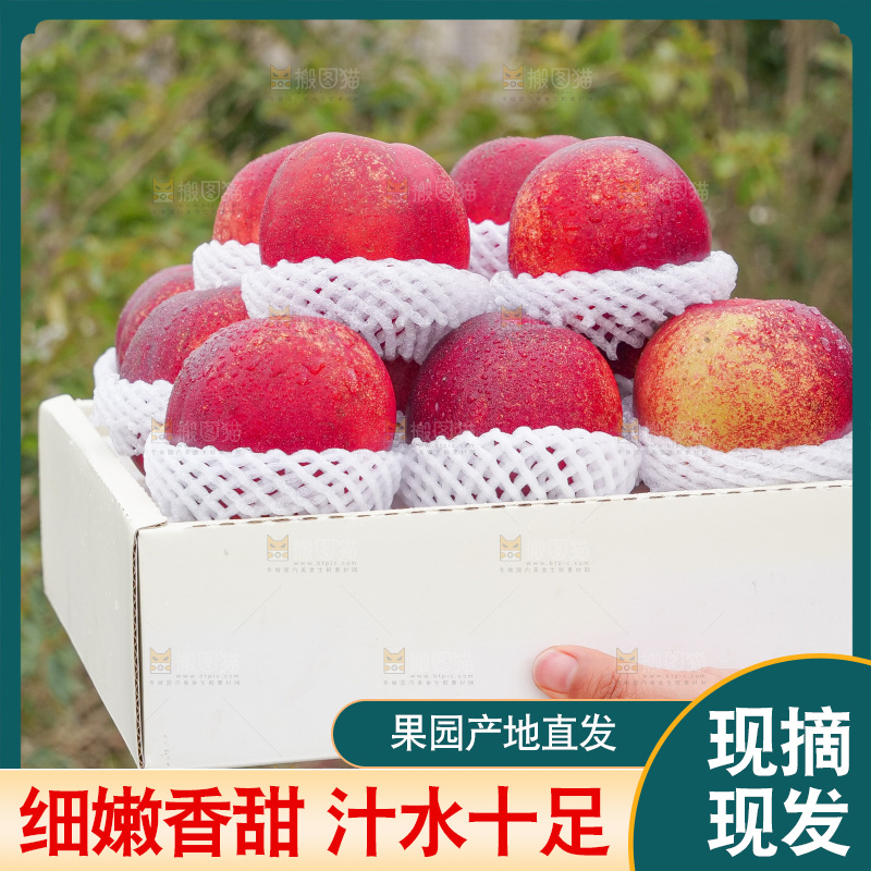 澳洲油桃